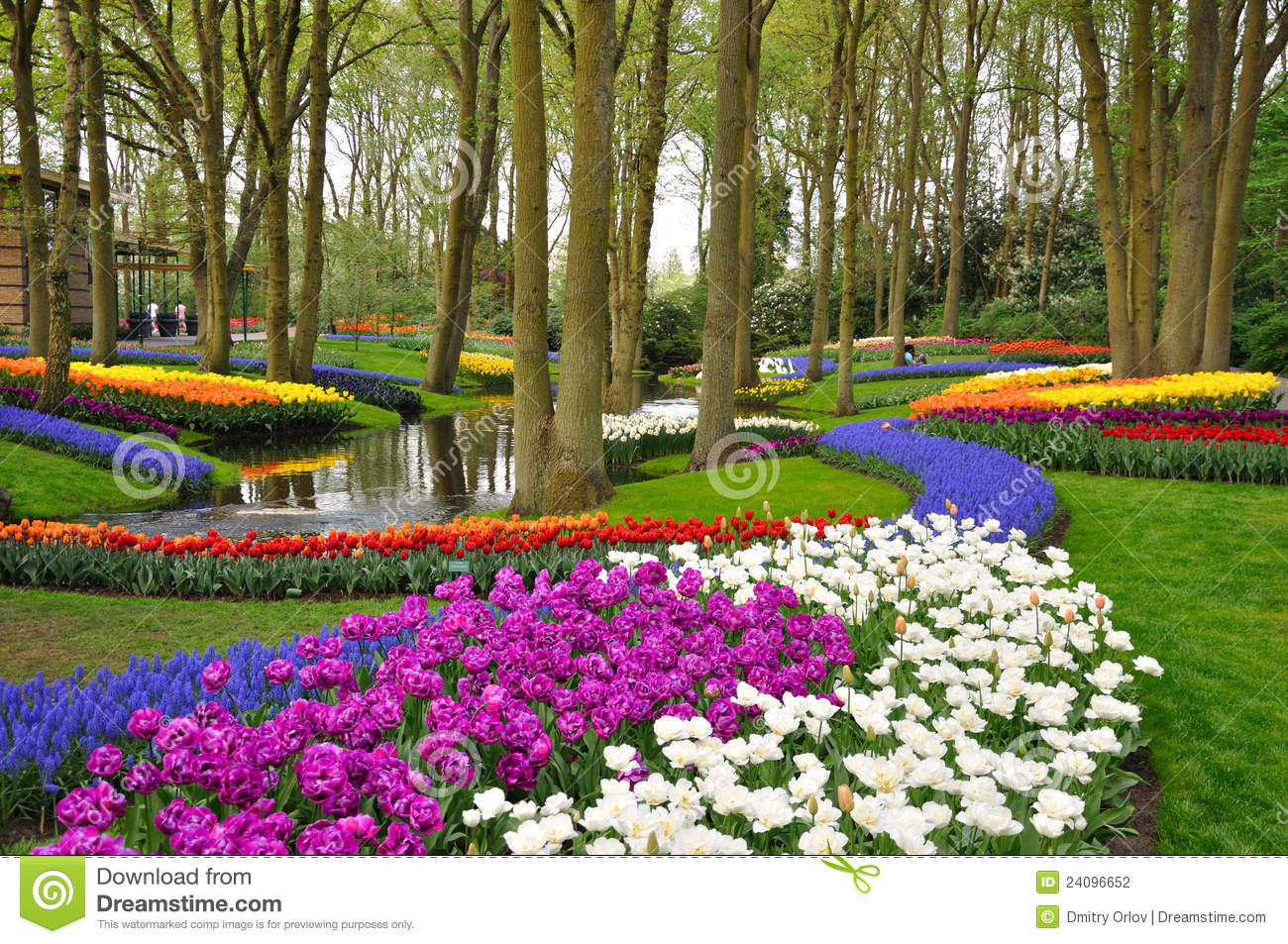 download software tulips from amsterdam instrumental free